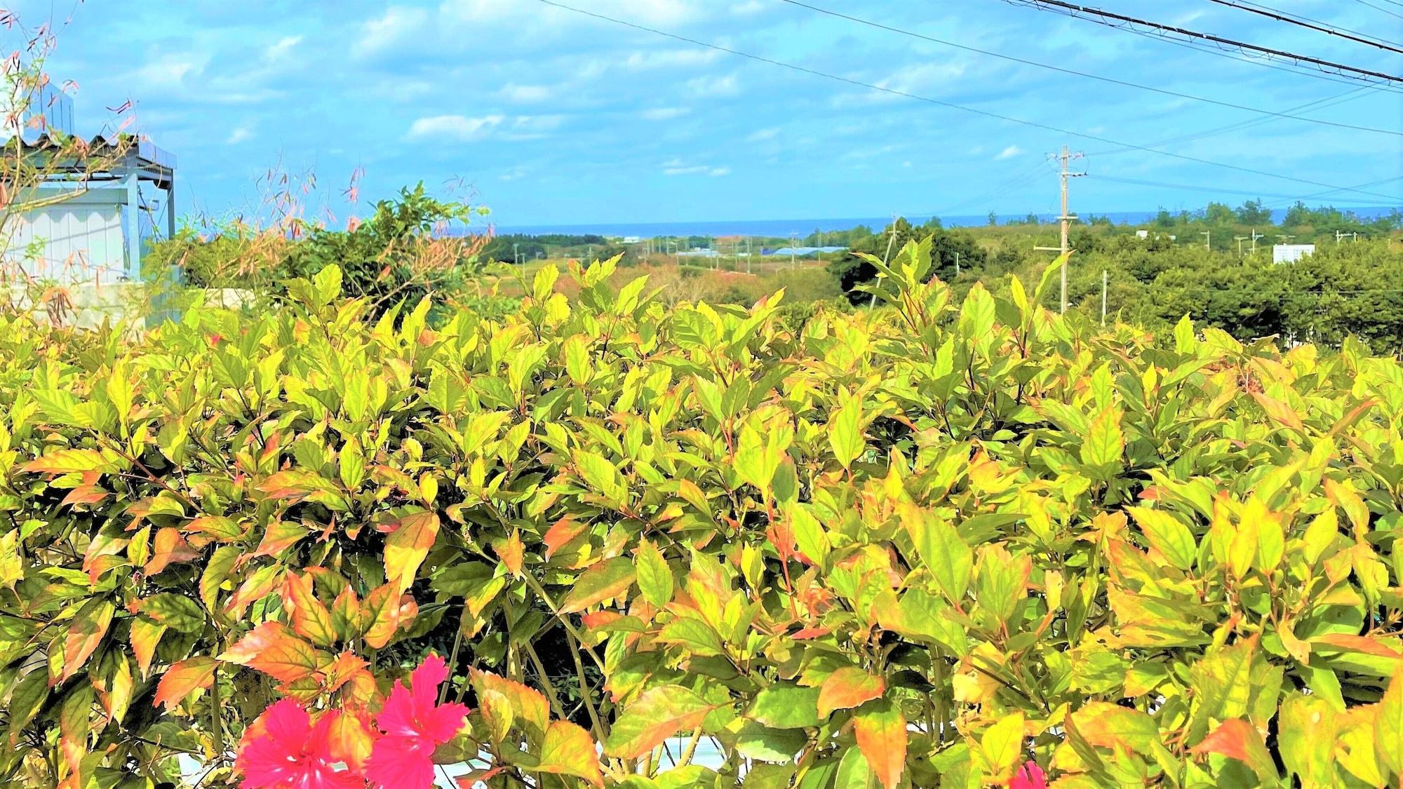 Rose Terrace Bise Villa Motobu Exterior foto